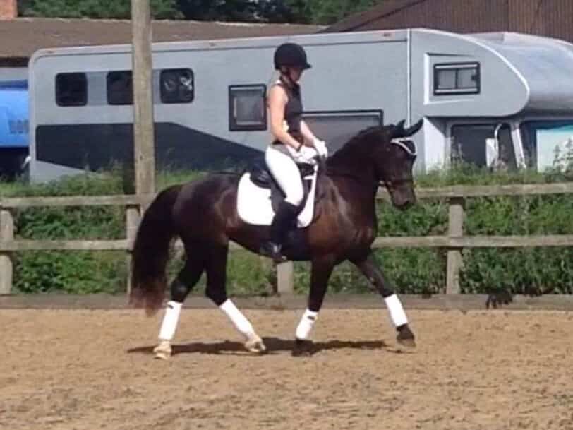 Hi Form Jess Grove Dressage