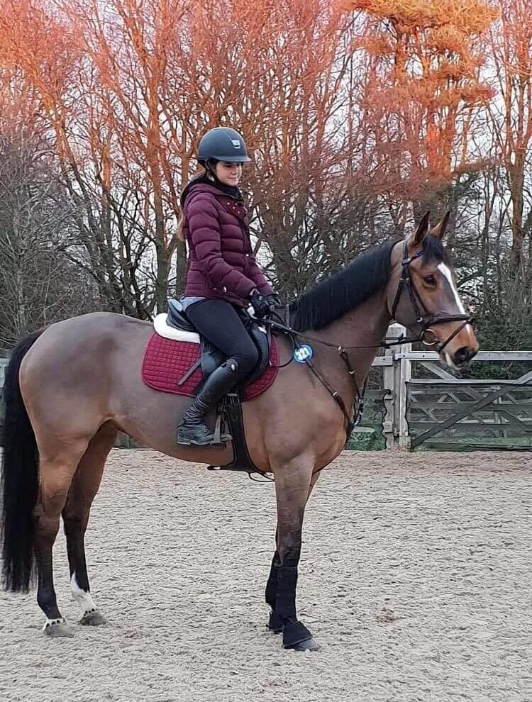 Hi Form Elizabeth Baker Show Jumper