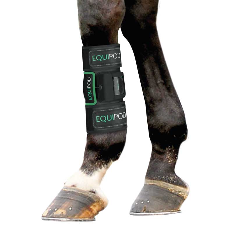 EquiPod KorWrap Hi Form Equine Premium Horse Supplements